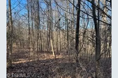 3633 Shacktown Road, Yadkinville, NC 27055 - Photo 4