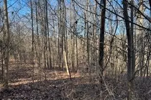 3633 Shacktown Rd, Yadkinville, NC 27055 - Photo 4