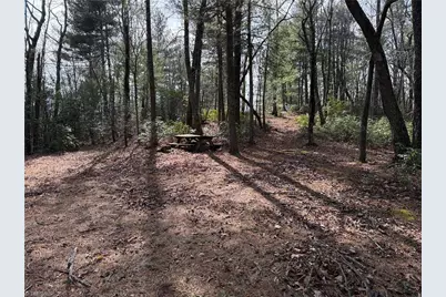 Lot 120 Rich Pine Drive, Purlear, NC 28665 - Photo 2