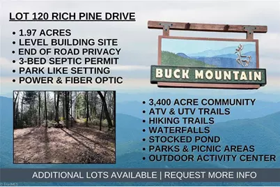 Lot 120 Rich Pine Drive, Purlear, NC 28665 - Photo 1