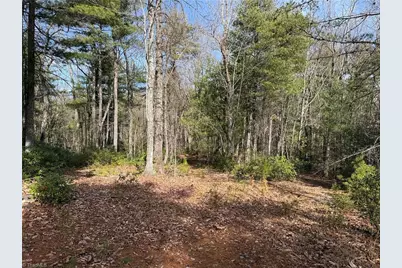 Lot 120 Rich Pine Drive, Purlear, NC 28665 - Photo 10