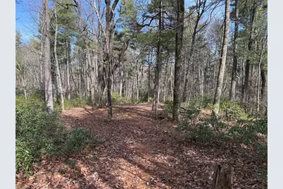 Lot 120 Rich Pine Drive, Purlear, NC 28665 - Photo 12