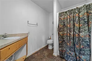 202 Roby Fulk Rd, Pinnacle, NC 27043 - Photo 22