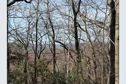 Lots 207 & 220 Maple Valley Lane, Purlear, NC 28665 - Photo 8