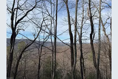 Lots 207 & 220 Maple Valley Lane, Purlear, NC 28665 - Photo 20