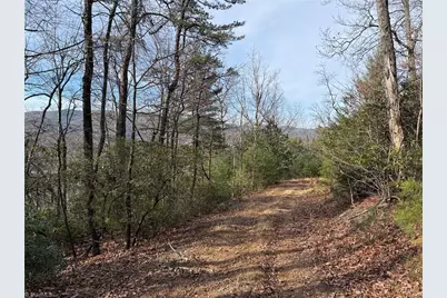 Lots 207 & 220 Maple Valley Lane, Purlear, NC 28665 - Photo 14