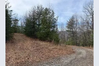 Lots 207 & 220 Maple Valley Lane, Purlear, NC 28665 - Photo 6