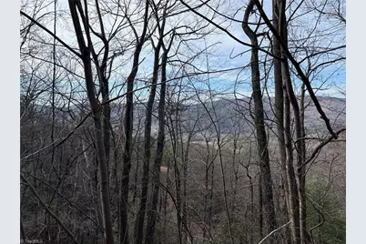 Lots 207 & 220 Maple Valley Lane, Purlear, NC 28665 - Photo 4