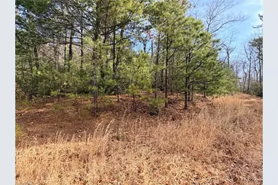 Lots 207 & 220 Maple Valley Lane, Purlear, NC 28665 - Photo 16