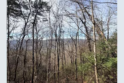Lots 207 & 220 Maple Valley Lane, Purlear, NC 28665 - Photo 4
