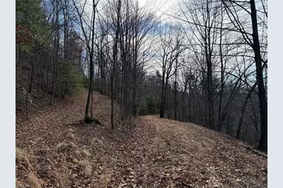 Lots 207 & 220 Maple Valley Lane, Purlear, NC 28665 - Photo 10