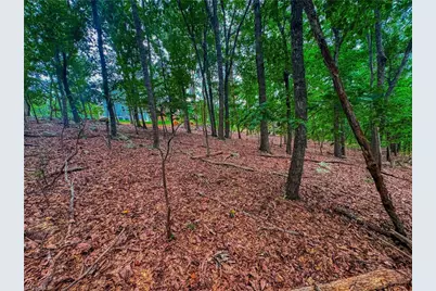 1996 Sierra Trace Road, Denton, NC 27239 - Photo 12