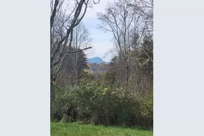 1324 Hardie Mabe Road, Danbury, NC 27016 - Photo 24