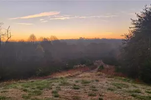 1324 Hardie Mabe Rd, Danbury, NC 27016 - Photo 1