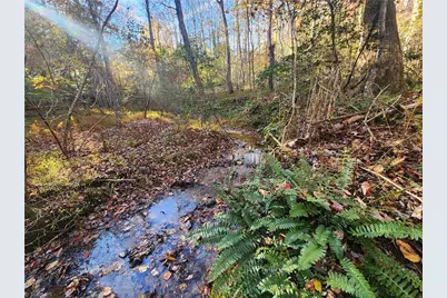 Tbd Sable Avenue, Mount Airy, NC 27030 - Photo 1