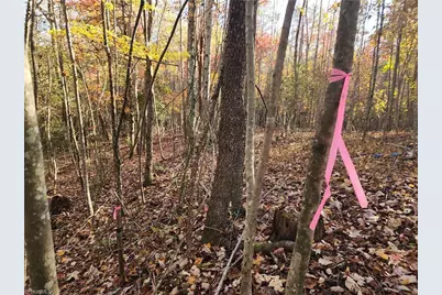 Tbd Sable Avenue, Mount Airy, NC 27030 - Photo 4