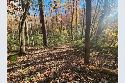 Tbd Sable Avenue, Mount Airy, NC 27030 - Photo 8