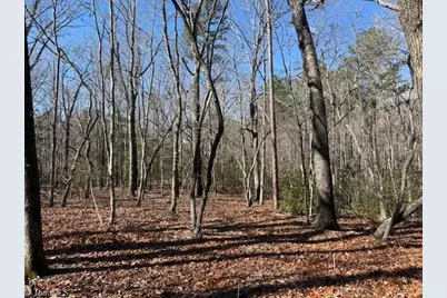 0 Thayer Road, Troy, NC 27371 - Photo 2