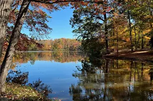 103 Bethel Spring Dale, Greensboro, NC 27410 - Photo 46