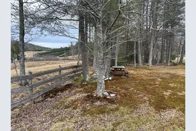 3661 Darnell Woodie Road, Laurel Springs, NC 28644 - Photo 6