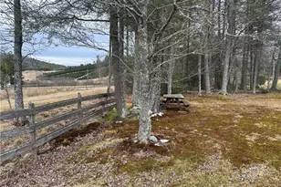 3661 Darnell Woodie Rd, Laurel Springs, NC 28644 - Photo 6