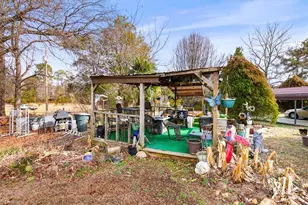 5603 Little Beane Store Rd, Seagrove, NC 27341 - Photo 46