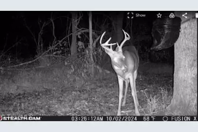 0 Nc Highway 14, Reidsville, NC 27320 - Photo 14