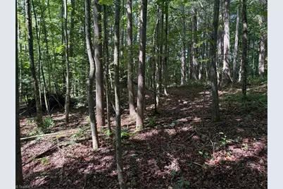 Lot 22 Austin Traphill Road, Traphill, NC 28685 - Photo 8