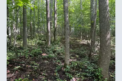 Lot 22 Austin Traphill Road, Traphill, NC 28685 - Photo 4