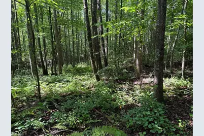 Lot 22 Austin Traphill Road, Traphill, NC 28685 - Photo 6