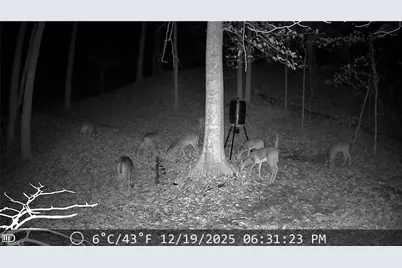 0 Beechwood Drive, Asheboro, NC 27205 - Photo 14