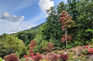 32 Crockett Ridge Rd, Black Mountain, NC 28711 - Photo 8