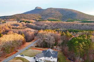 536 Black Mountain Rd, Pilot Mountain, NC 27041 - Photo 50