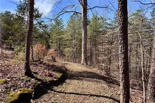 4681 Rockford Rd, Dobson, NC 27017 - Photo 34