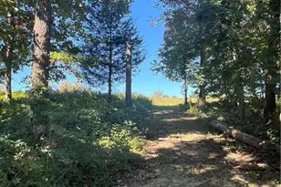 4312 Mossy Wood Cir, Greensboro, NC 27409 - Photo 36