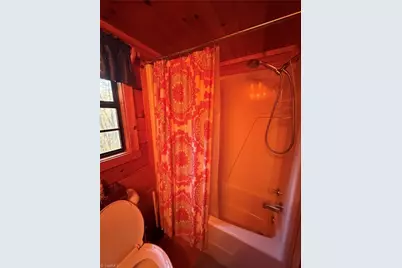 157 Wolf Trail, McGrady, NC 28670 - Photo 6