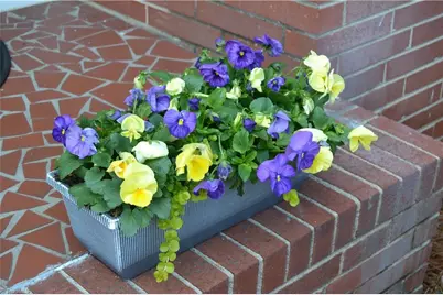 1930 Fairview Boulevard, Winston-Salem, NC 27127 - Photo 10