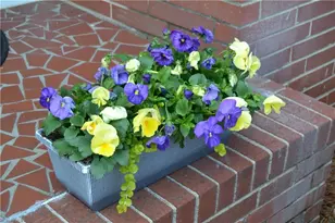 1930 Fairview Blvd, Winston-Salem, NC 27127 - Photo 10