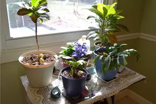 1930 Fairview Blvd, Winston-Salem, NC 27127 - Photo 22