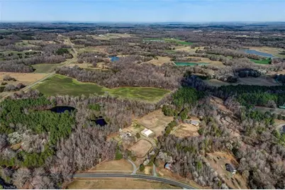 7217 Bulb Road, Julian, NC 27283 - Photo 4