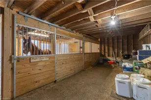 6507 Frieden Church Rd, Gibsonville, NC 27249 - Photo 6