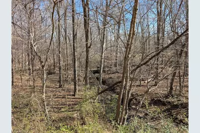 0 Browers Chapel Road, Asheboro, NC 27203 - Photo 4