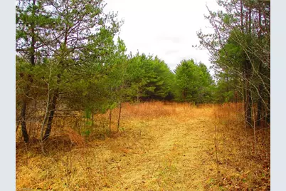 1809 Alamance Church Road, Greensboro, NC 27406 - Photo 6