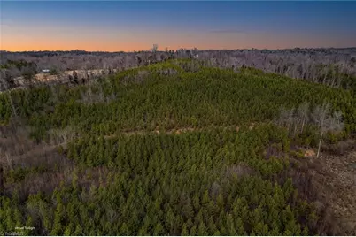 0 Lick Fork Creek Road, Reidsville, NC 27320 - Photo 4