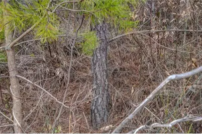 0 Lick Fork Creek Road, Reidsville, NC 27320 - Photo 30
