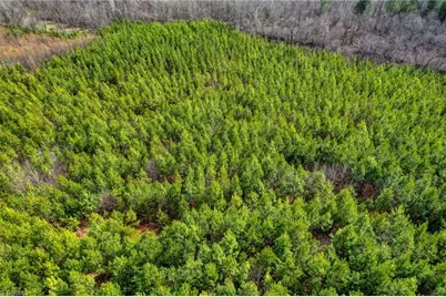 0 Lick Fork Creek Road, Reidsville, NC 27320 - Photo 8