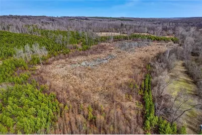0 Lick Fork Creek Road, Reidsville, NC 27320 - Photo 20