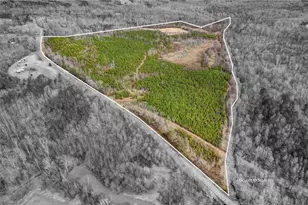 0 Lick Fork Creek Rd, Reidsville, NC 27320 - Photo 1