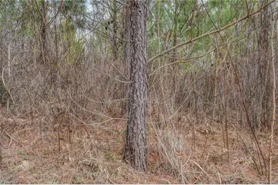 0 Lick Fork Creek Road, Reidsville, NC 27320 - Photo 32