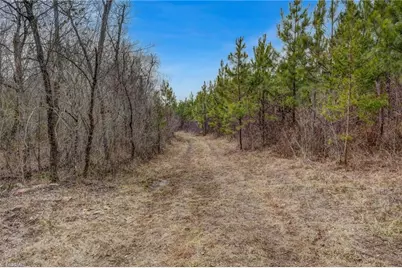 0 Lick Fork Creek Road, Reidsville, NC 27320 - Photo 18